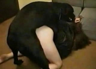 Sexed-up doggo fucking hard