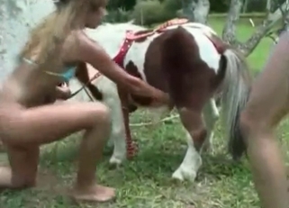 Hardcore sex with a pretty-looking pony