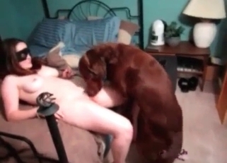 Dirty Doberman fucking a redhead bitch