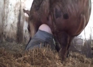 Dirtiest bestiality with a vicious pig