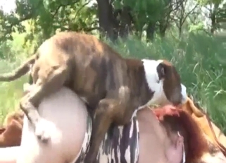 Zoo sex scene set in nature with a big booty gal