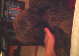 Zoophile gets foot worship in POV from a dog