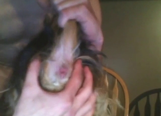 Zoo sex showing a guy who wants to gape a dog