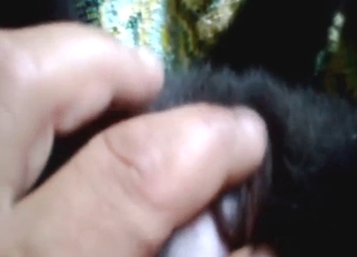 Zoo sex with a slutty puppy ASKING FOR IT