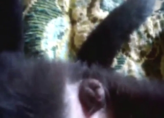 Zoo sex with a slutty puppy ASKING FOR IT