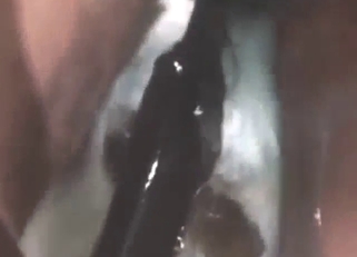 Fish is going to suck on this dude's nice cock