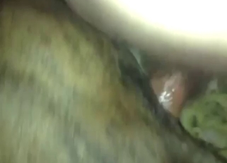 Dog with a tight asshole gets power-fucked anally