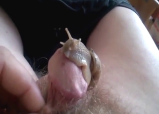 Slug is going to massage his boner for the cam