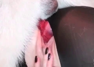 Glamorous slut wants to fuck animals