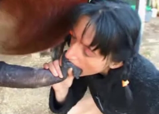 Horse seduced by a clothed hottie