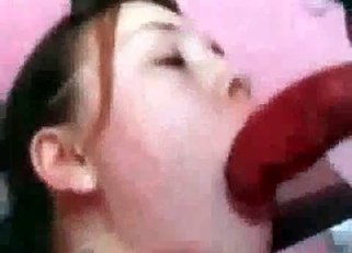 Dog's huge cock sucked by an Asian