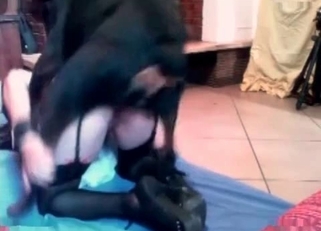 Chick's tight slit pounded by a puppy