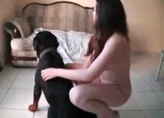 Obedient dog is great at fucking