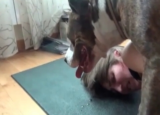 Asshole gets creampied by a dog