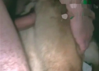 Massive cock penetrating a dog's hole